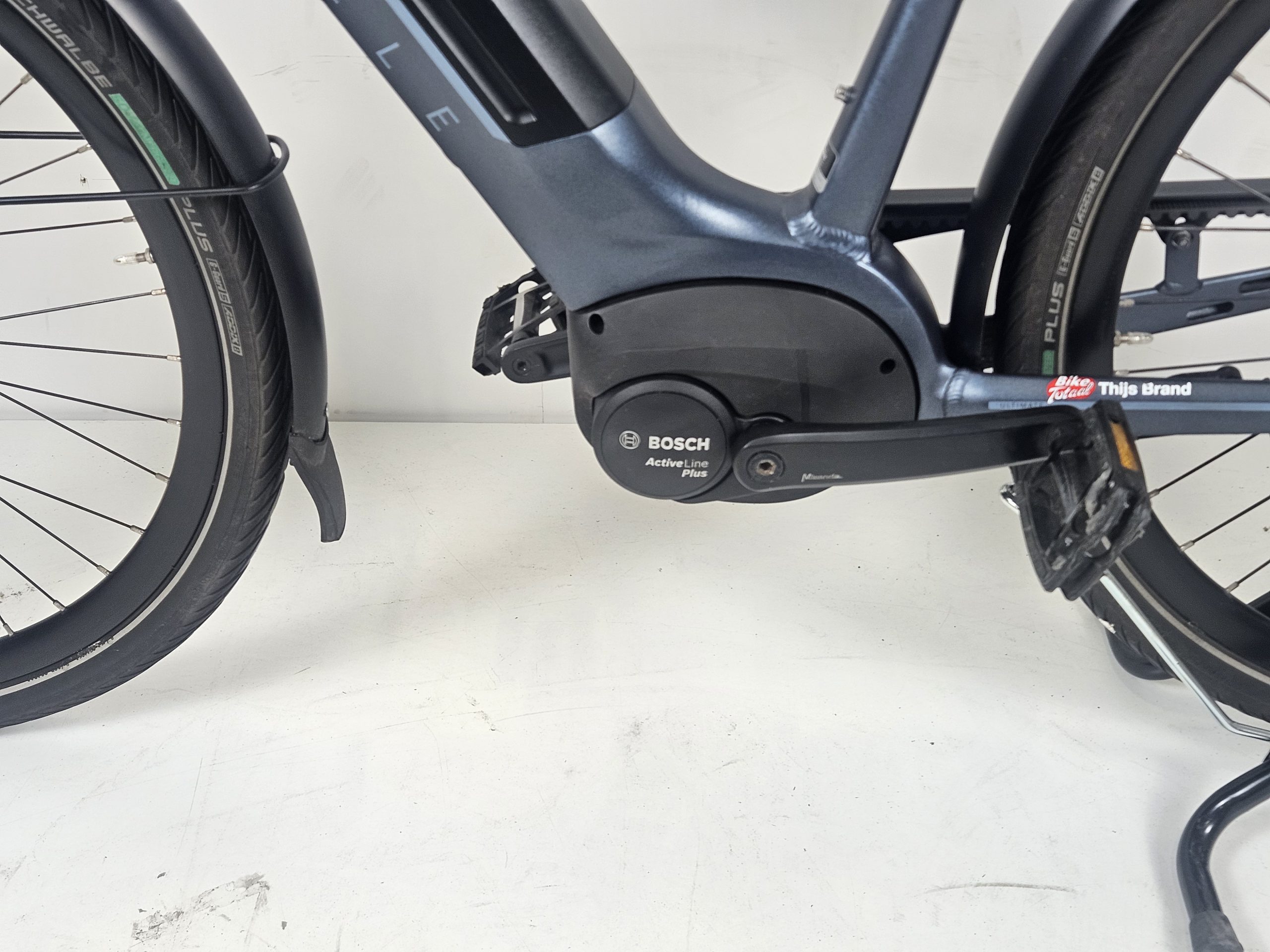 Gazelle Ultimate C8+ HMB Belt H65 - Afbeelding 5